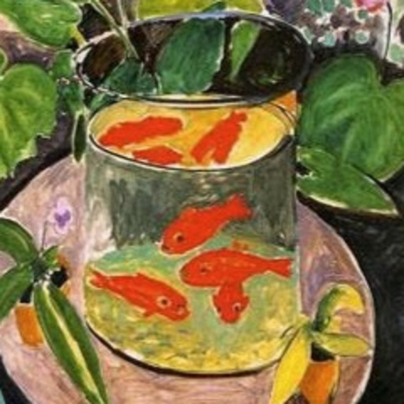 goldfish3060